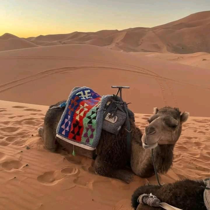 Kasbah Ait Arbi Hotel Ait Ougliff ภายนอก รูปภาพ