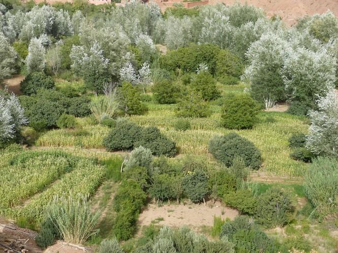 Kasbah Ait Arbi Hotel Ait Ougliff ภายนอก รูปภาพ